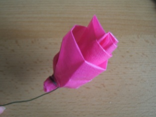 ruža